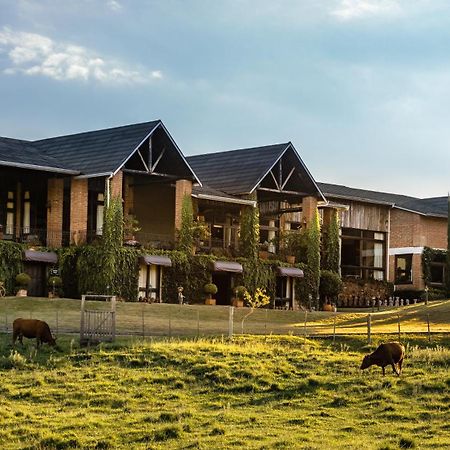 Estribo Hotel Estancia Santo Antonio da Patrulha Екстер'єр фото